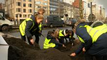 Leerlingen Onze-Lieve-Vrouwecollege planten eerste bomen op Frankrijklei (video)  